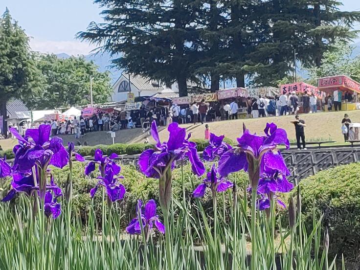 あやめ祭り