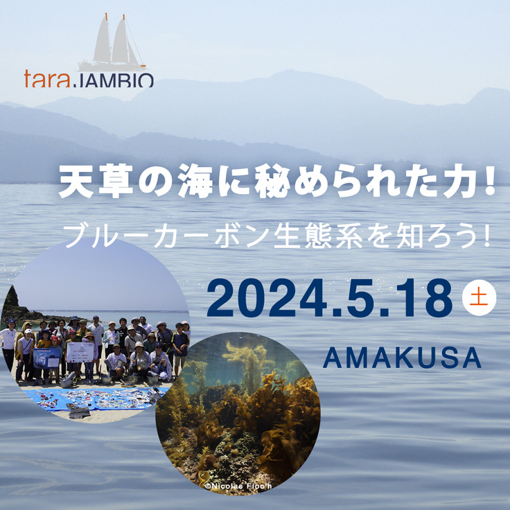 amakusa event.jpg