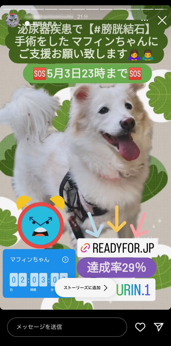 IMG_8642 のコピー.jpg