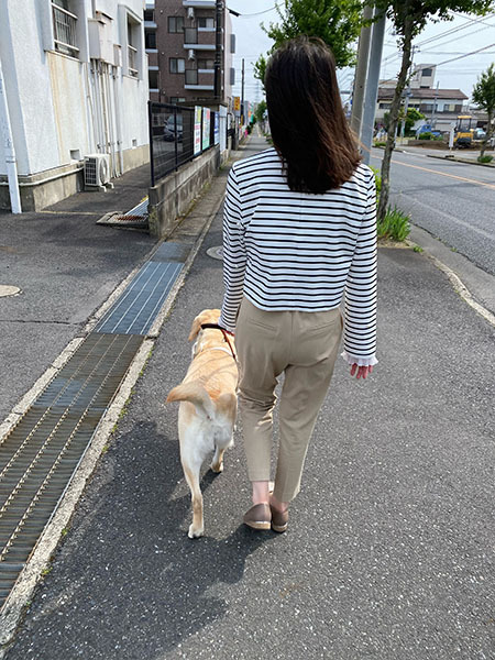 共同訓練中の訓練犬と訓練生