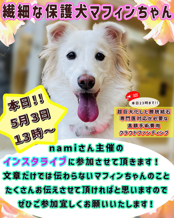 告知 のコピー.jpg