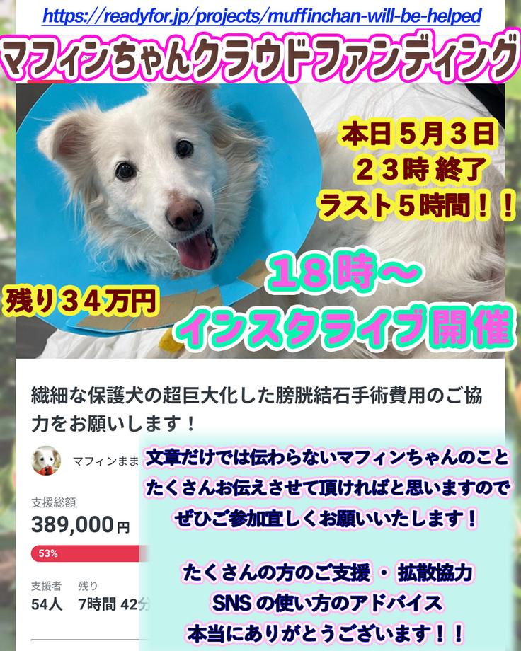 ラストライブ のコピー.jpg