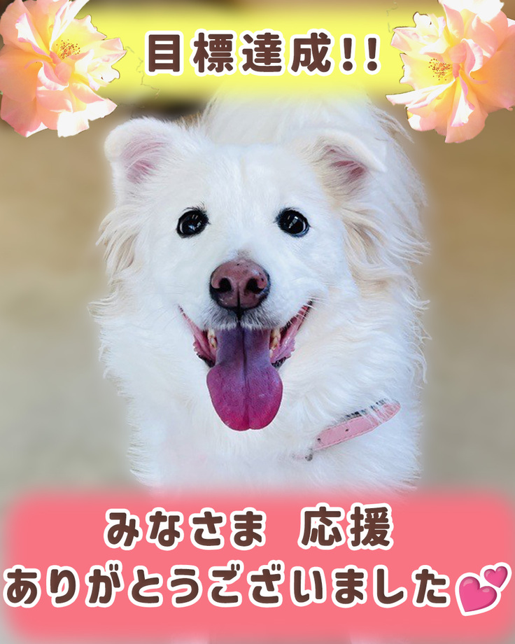 thumbnail_IMG_6213 のコピー.jpg