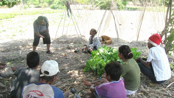 現地NGOから有機農業の説明を受ける村の人たち