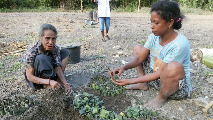育苗用ポットをバナナの葉で作る村の人たち