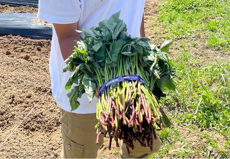 image_123650291 (37).JPG