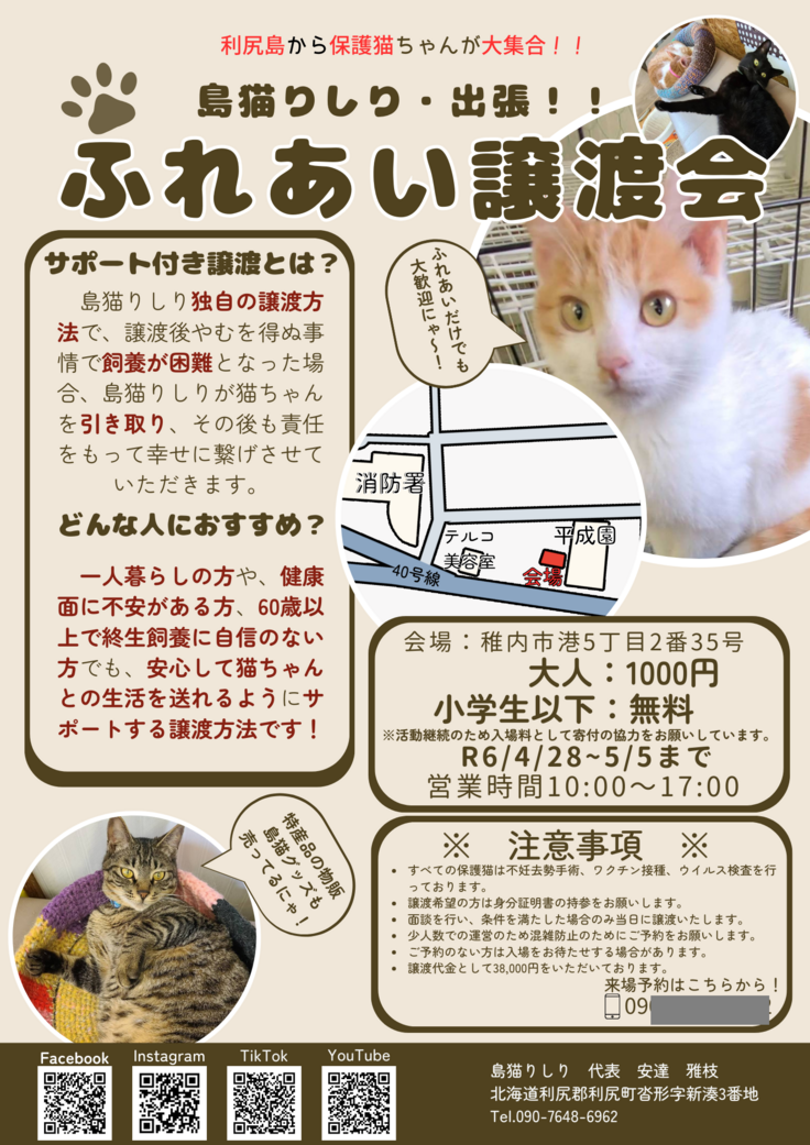 利尻島主審の保護猫ちゃんが大集合！！ ().png