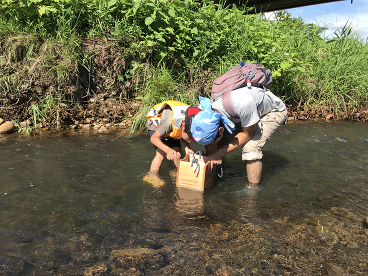 自分でつくった箱メガネを川で使う