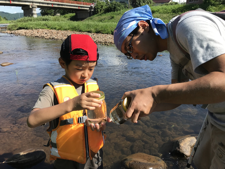 川の生き物を観察