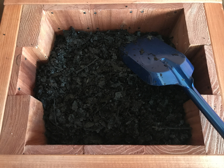 ミミズコンポストの中身