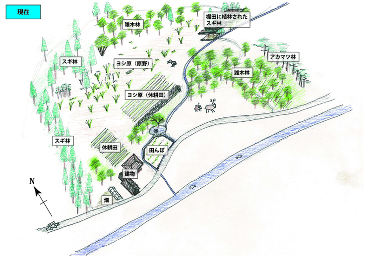 購入予定地（現在）