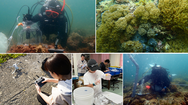 amakusa survey02.jpg