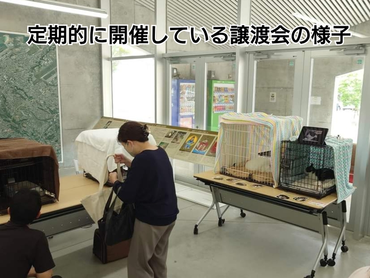 毎月開催している譲渡会の様子