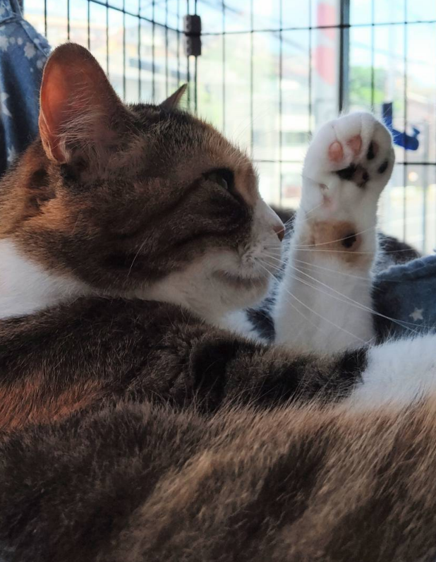 スクリーンショット 2024-06-26 15.05.40.png