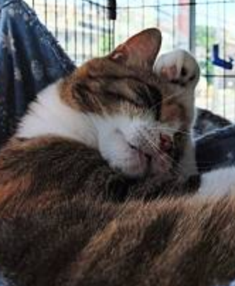 スクリーンショット 2024-06-26 15.06.15.png