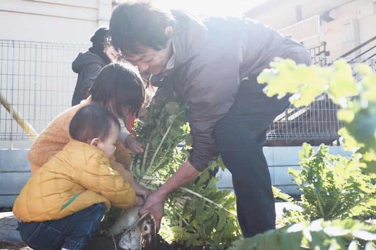 子どもたちが農家さんを手伝う写真