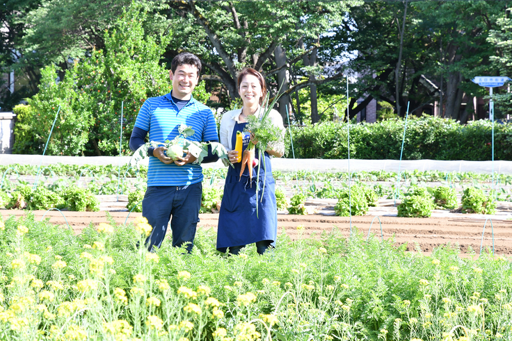 ポモナ　パリタリー