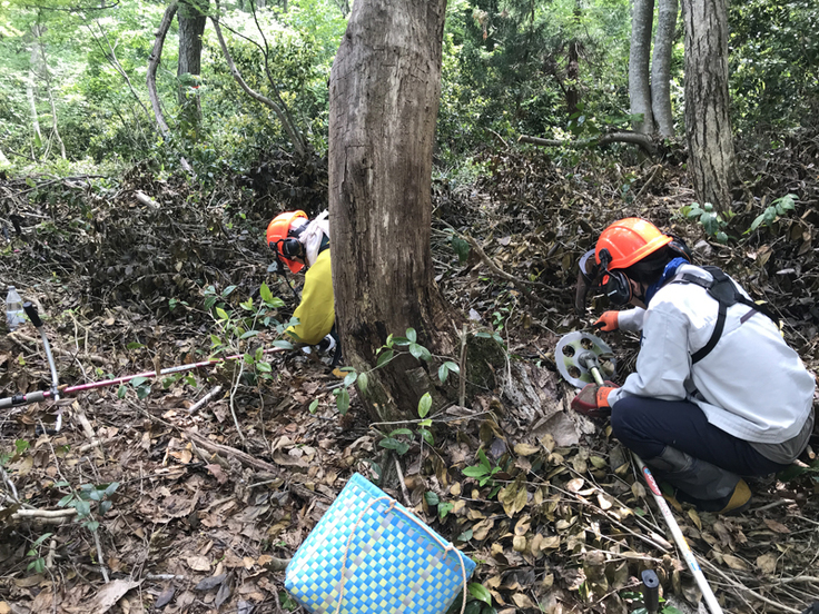 「広葉樹の会」の仲間が管理する山で笹刈刃をつけて低木を刈り払う