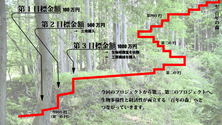 生物多様性と経済性を両立する「百年の森」をつくるロードマップ