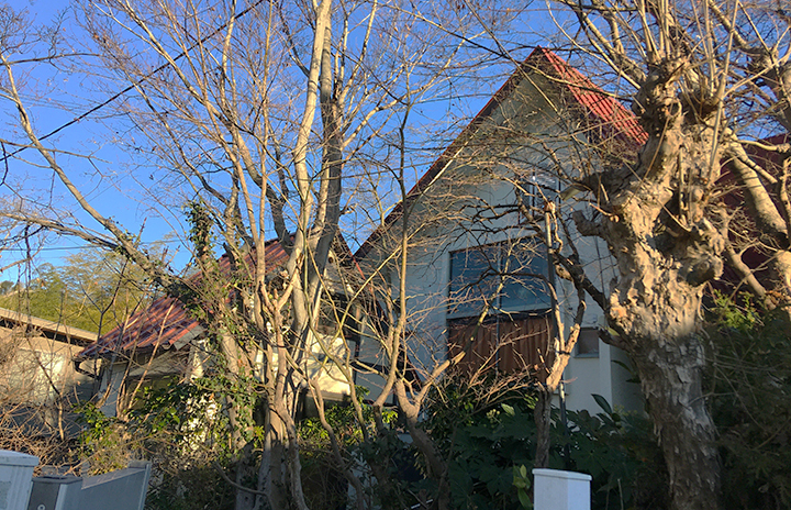 青木夫妻、旧自宅兼アトリエ