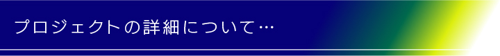 プロジェクトの詳細について
