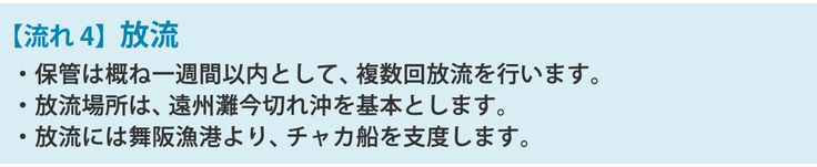 【流れ4】放流