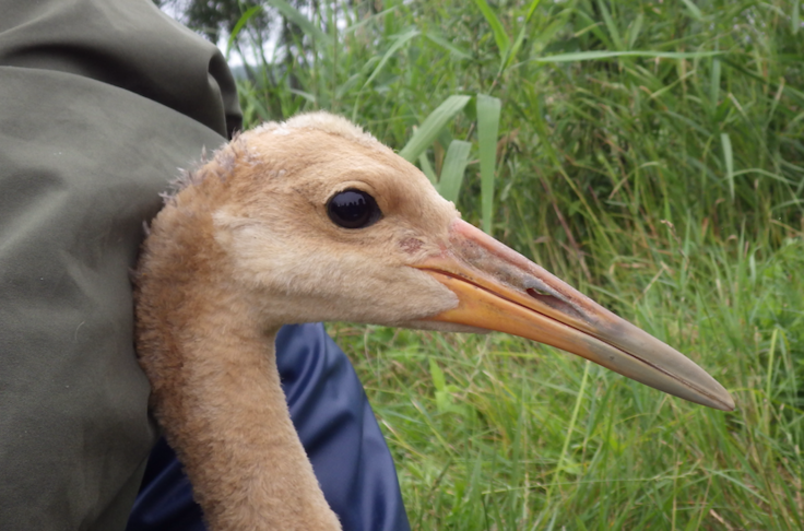 スクリーンショット 2024-07-08 18.17.34.png