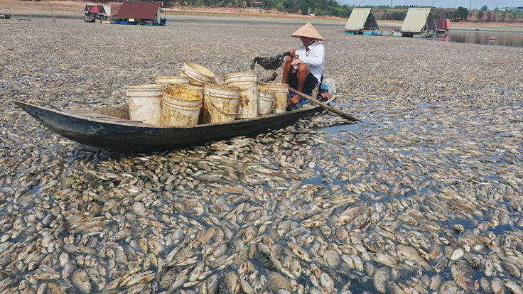 干ばつ４０度の熱波で湖の魚が全滅