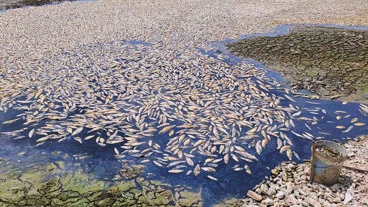 干ばつ４０度の熱波が続き湖の水がなくなる