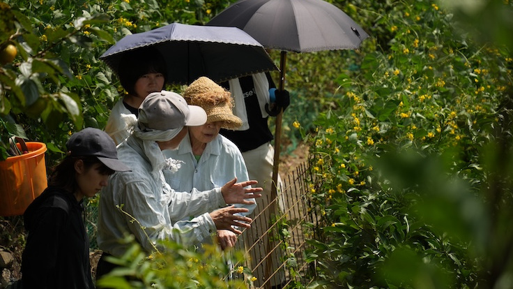 ヘルスツーリズムの様子