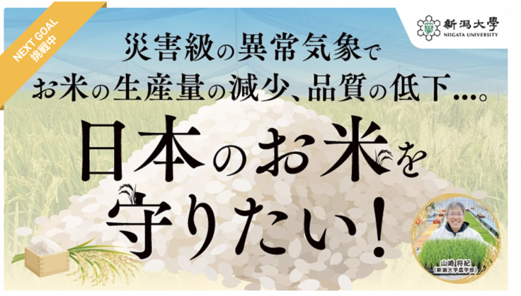 NEXT GOAL挑戦中.png