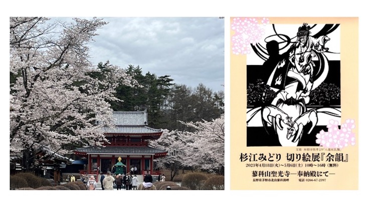 桜で有名な蓼科山聖光寺と杉江みどりさん個展ポスター