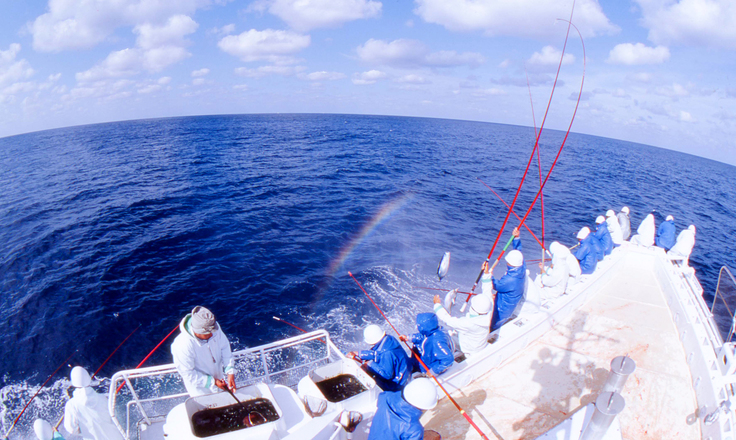 鰹の一本釣り漁船