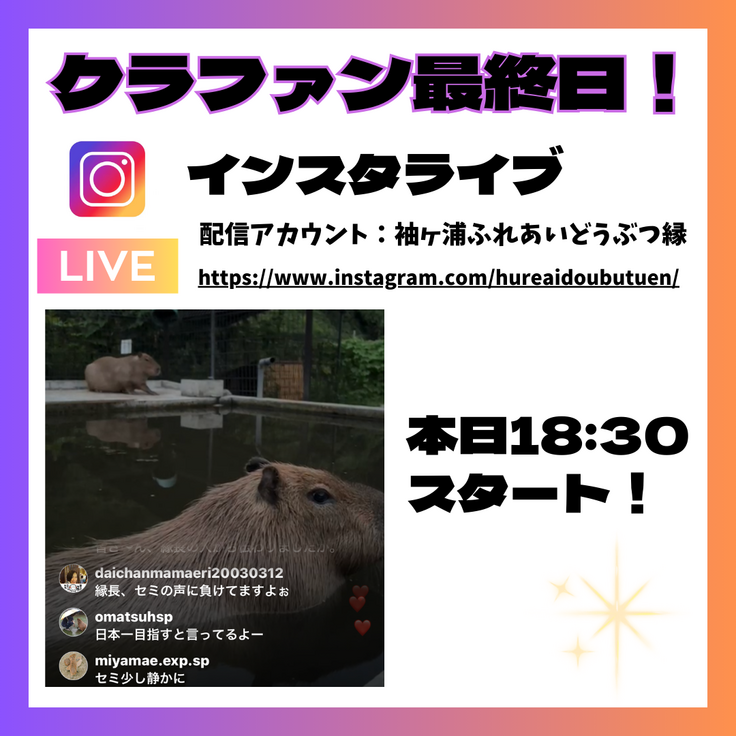 インスタライブ.png