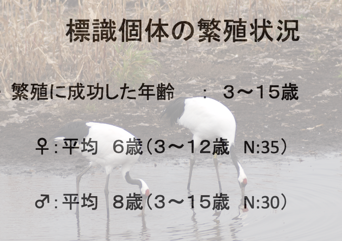 スクリーンショット 2024-07-25 13.27.03.png