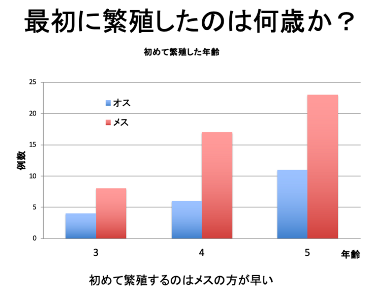 スクリーンショット 2024-07-25 13.26.26.png