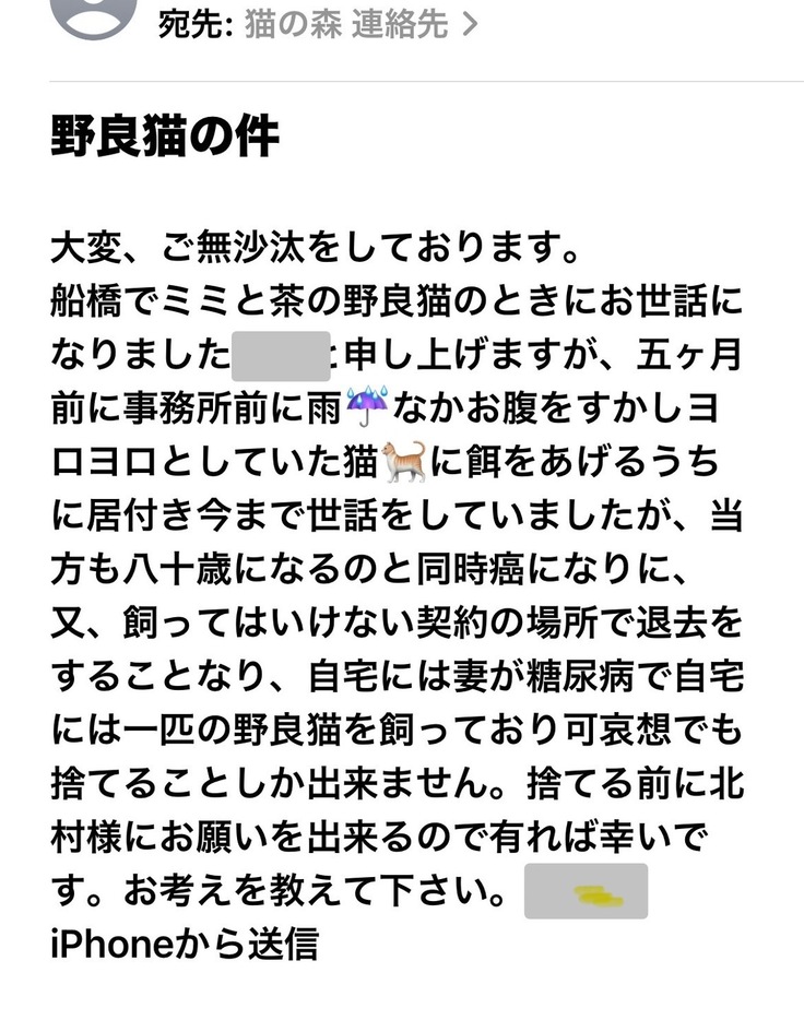 今日届いたメール