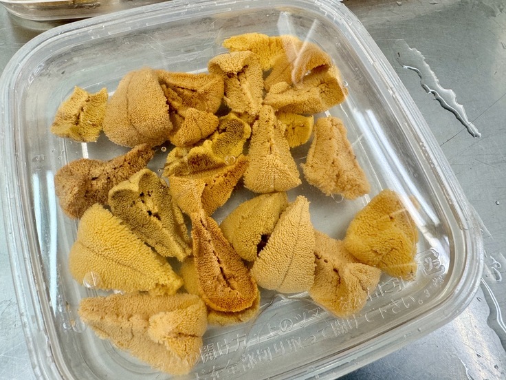 赤ウニ塩水パック