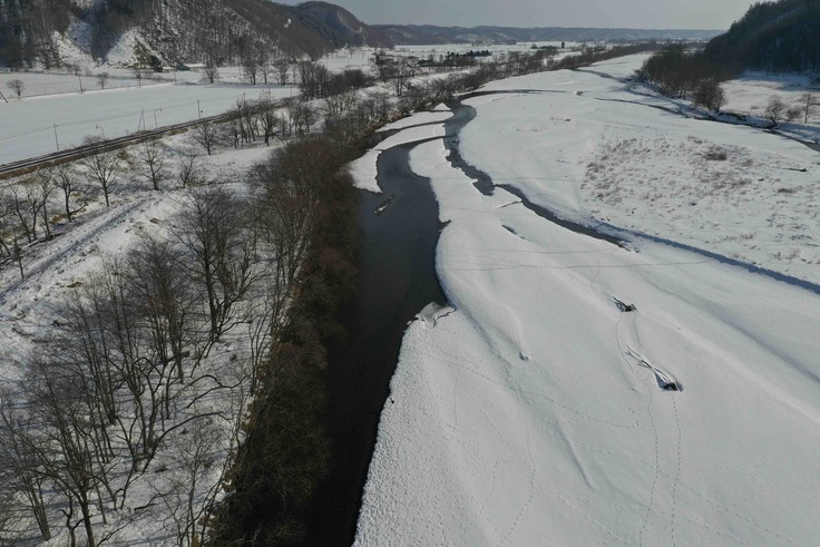 ドローンによる音別川のねぐら.jpg