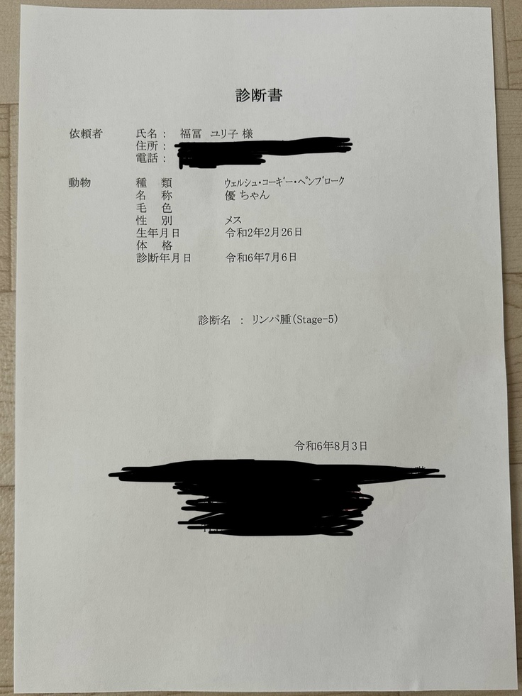 診断書