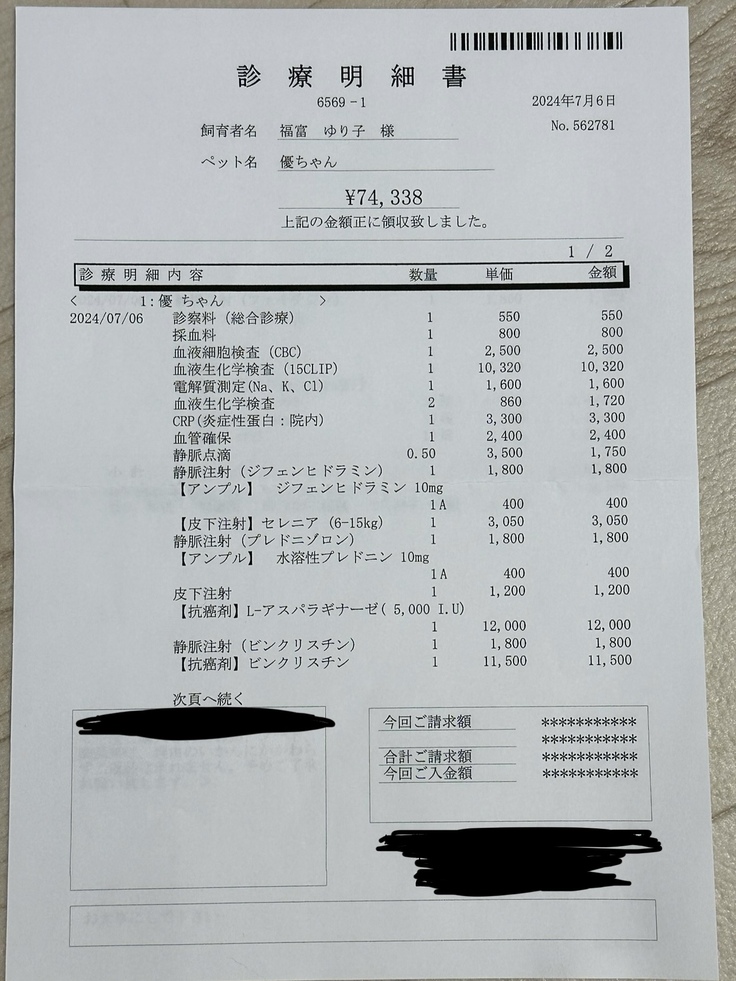 抗がん剤治療あり