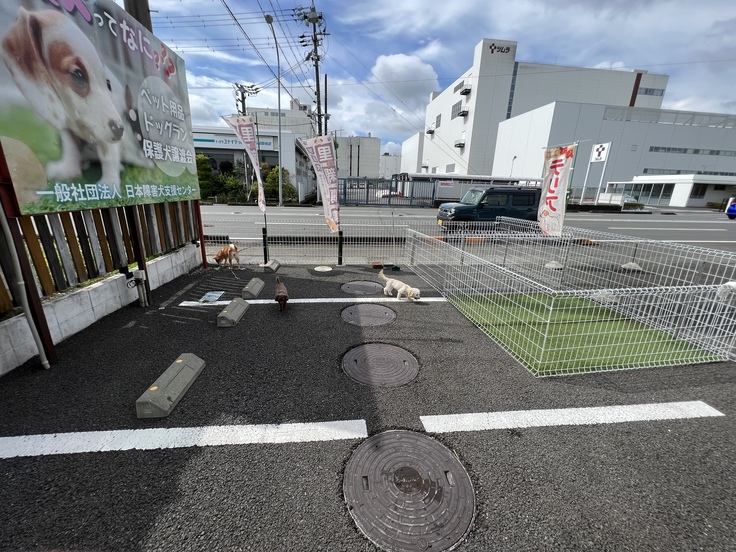 日陰のドックラン予定地