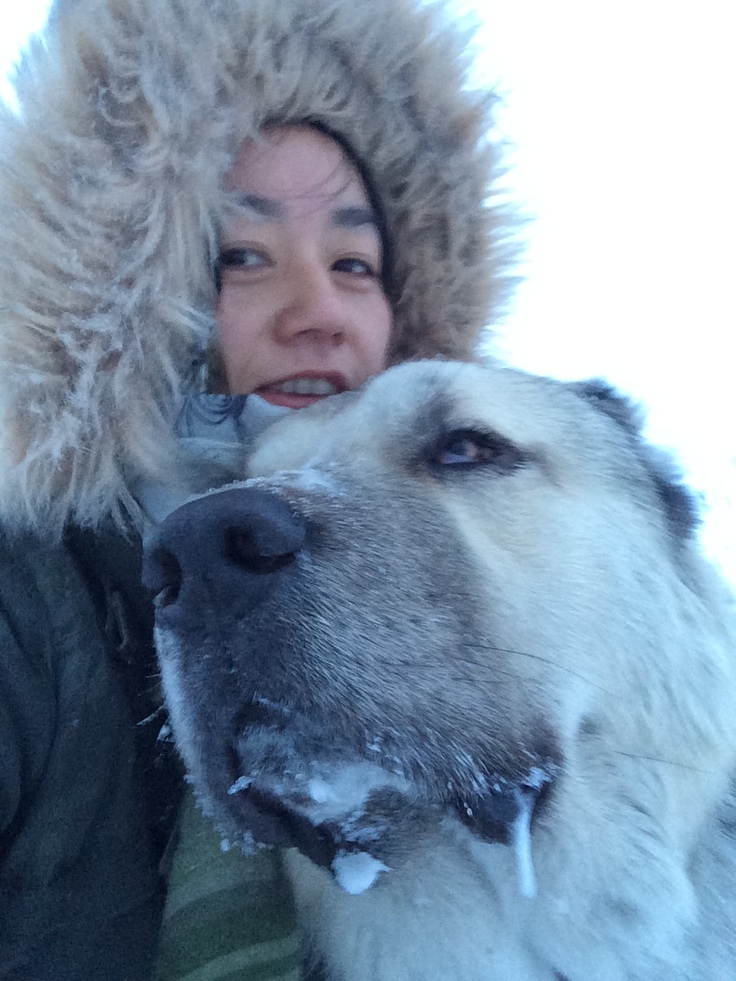 シベリアで愛犬と