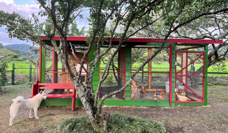 夜はここに入ってもらいます。