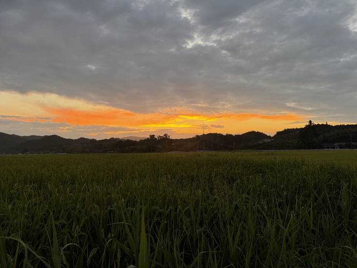 家の前の風景です。