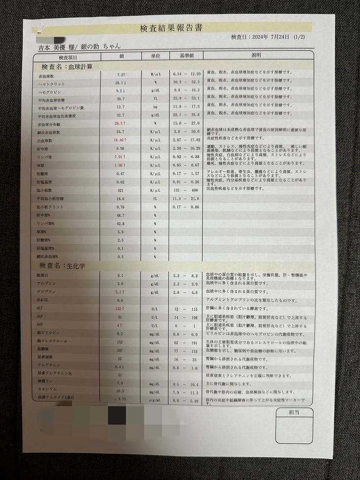 領収書6