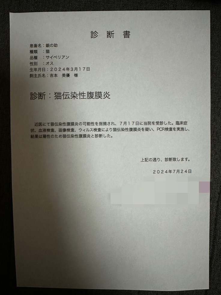 領収書9
