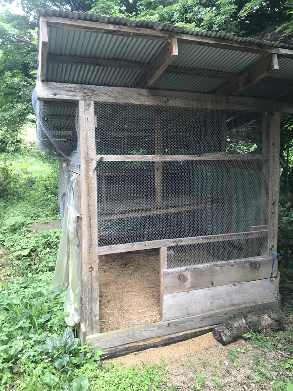 ニワトリ小屋