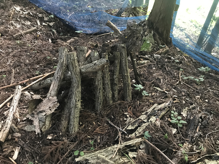 シイタケ原木栽培