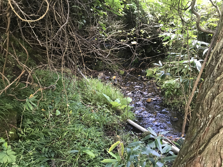 沢の上流から水を引っ張る